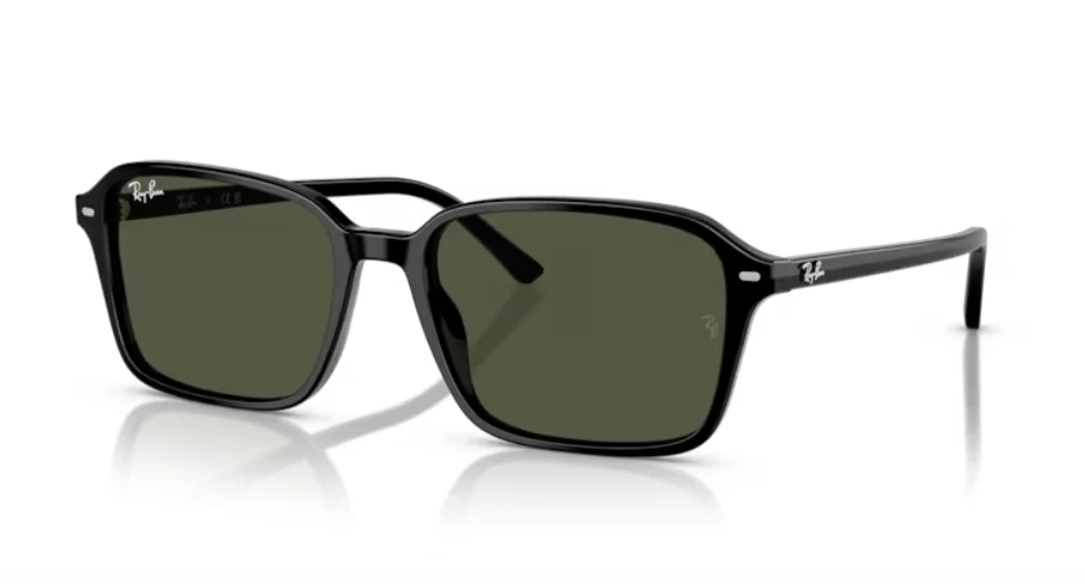 Ray-Ban RB 2231F