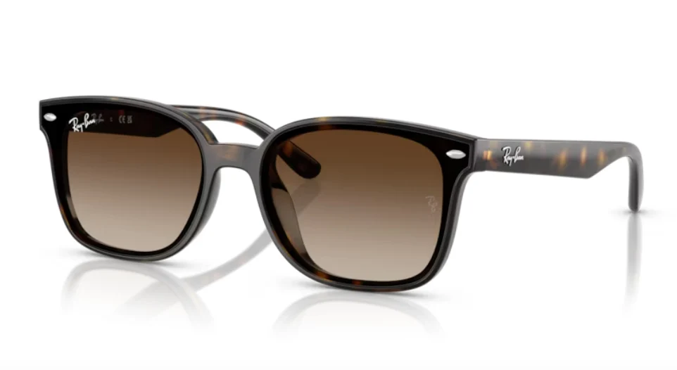 Ray-Ban RB 4461D - Image 3